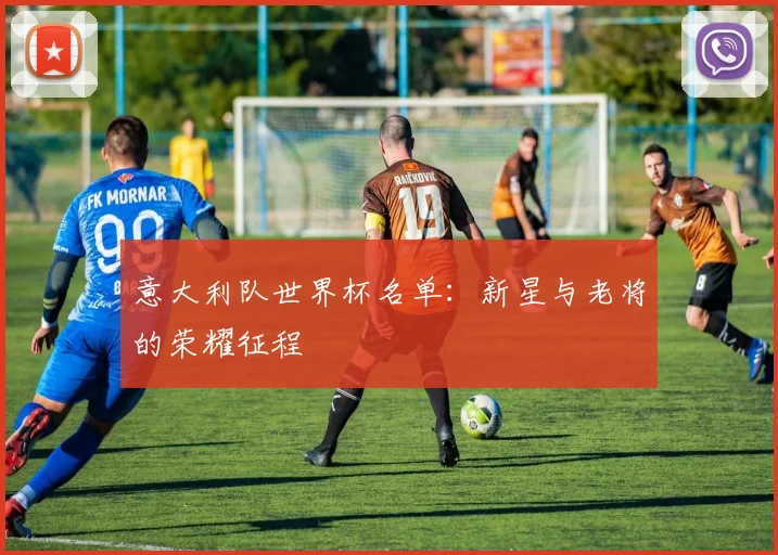 意大利队世界杯名单:新星与老将的荣耀征程
